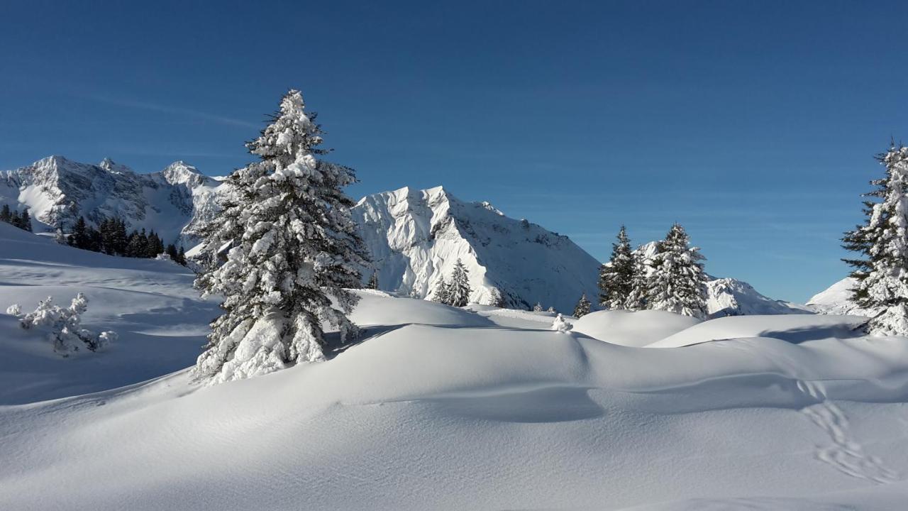 Landhaus Marion Holzgau Eksteriør bilde